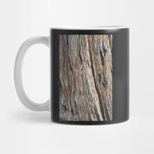 Tree Bark - Natural Texture Closeup Mug